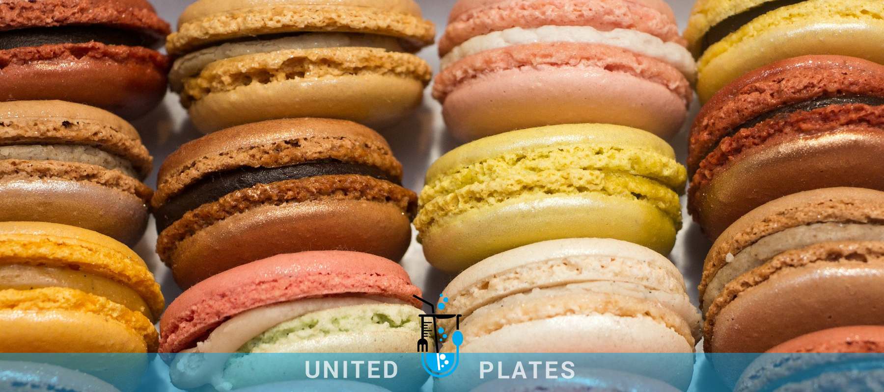 United Plates Chocolate - Sugar Confectionery - Flour Confectionery food consultant dublin