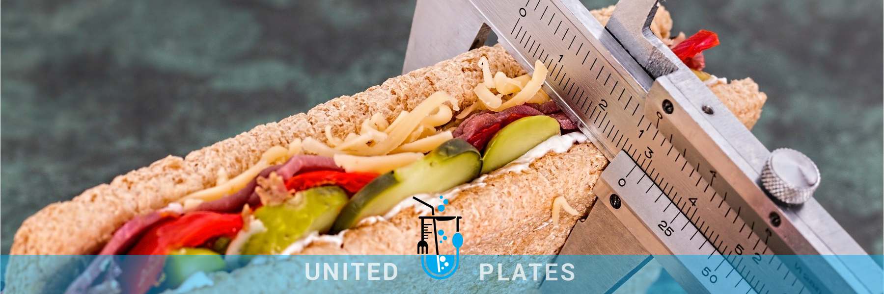 united plates Health and Nutrition food consultancy dublin